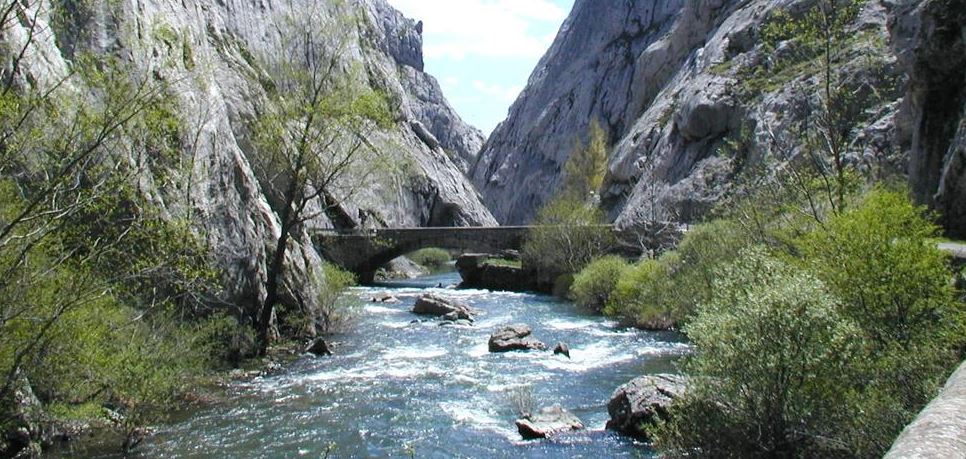 LOS ARGÜELLOS